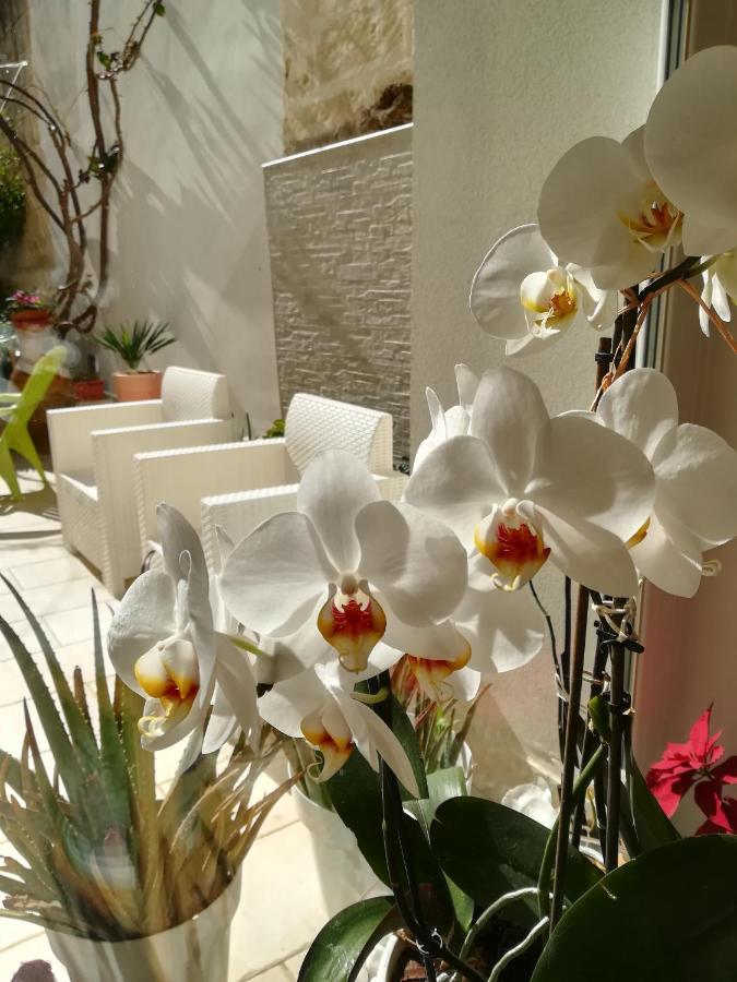 Meraki B&B Lecce Bagian luar foto